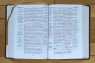 Nasb, Thompson Chain-Reference Bible, Leathersoft, Brown, Red Letter, 1977 Text