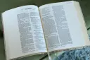 NIV, Artisan Collection Bible, Leathersoft, Multi-color/Cream, Red Letter, Comfort Print