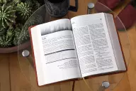 NIV Men's Devotional Bible, Leathersoft, Brown, Comfort Print