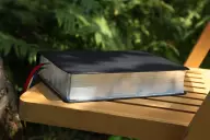 NIV, Life Application Study Bible, Third Edition, Genuine Leather, Cowhide, Black, Art Gilded Edges, Red Letter