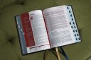NIV, Life Application Study Bible, Third Edition, Genuine Leather, Cowhide, Black, Art Gilded Edges, Red Letter, Thumb Indexed