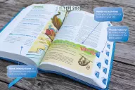 NIrV, Adventure Bible for Early Readers, Leathersoft, Blue, Full Color, Thumb Indexed Tabs