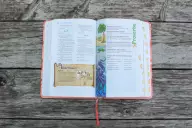 NIV, Adventure Bible, Leathersoft, Coral, Full Color, Thumb Indexed Tabs