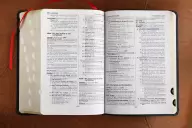 NASB, Thompson Chain-Reference Bible, Bonded Leather, Black, Red Letter, 1977 Text, Thumb Indexed