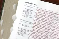 ESV, Thompson Chain-Reference Bible, Leathersoft, Brown, Red Letter, Thumb Indexed