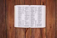 Niv, Thinline Reference Bible (Your Portable Reference Bible), Large Print, Leathersoft, Brown, Red Letter, Comfort Print