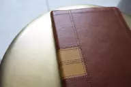 NIV, Thinline Reference Bible (Deep Study at a Portable Size), Leathersoft, Brown, Red Letter, Thumb Indexed, Comfort Print