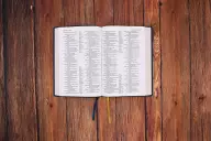 NIV Thinline Reference Bible, Large Print, Leathersoft, Teal, Red Letter, Comfort Print