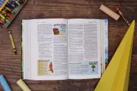 NIV, Adventure Bible, Full Color