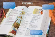 NIV, Adventure Bible, Paperback, Full Color Inside