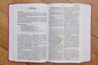 NIrV, Holy Bible, Large Print, Imitation Leather, Pink
