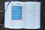 Nirv Kids' Quest Study Bible