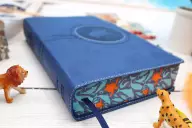 NIrV, Adventure Bible for Early Readers, Imitation Leather, Blue, Full Color