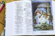 NIV Discoverer's Bible, Large Print, Hardcover