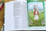 NIV Discoverer's Bible, Large Print, Hardcover