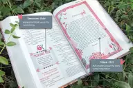 NIV Ultimate Bible for Girls, Pink, Hardcover, Introductions, Two-Color Interior, Quizzes, Answers to Bible Questions