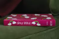 NIV God's Rainbow Holy Bible, Hardcover, Comfort Print