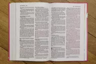 NIV God's Rainbow Holy Bible, Hardcover, Comfort Print