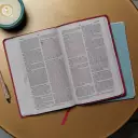 NKJV Value Thinline Bible, Pink, Imitation Leather, Red Letter, Maps, Reading Plan, Ribbon Marker