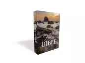 NKJV Larger Print, Bible, Grey, Paperback, Economy Price, Book Introductions, Plan of Salvation, Evangelism Resource