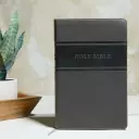 KJV, Deluxe Gift Bible, Imitation Leather, Gray, Red Letter Edition