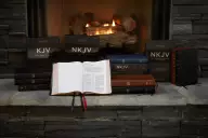 KJV Holy Bible: Giant Print with 53,000 Cross References, Black Premium Goatskin Leather, Premier Collection, Comfort Print: King James Version