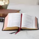 NKJV, Single-Column Reference Bible, Premium Goatskin Leather, Black, Premier Collection, Comfort Print