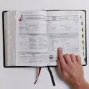The KJV Open Bible: Complete Reference System, Burgundy Leathersoft, Red Letter, Comfort Print (Thumb Indexed): King James Version
