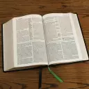 Evangelical Study Bible: Christ-centered. Faith-building. Mission-focused. (NKJV, Pink Leathersoft, Red Letter, Large Comfort Print)