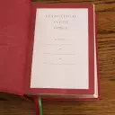 Evangelical Study Bible: Christ-centered. Faith-building. Mission-focused. (NKJV, Pink Leathersoft, Red Letter, Large Comfort Print)