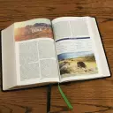 Evangelical Study Bible: Christ-centered. Faith-building. Mission-focused. (NKJV, Black Bonded Leather, Red Letter, Large Comfort Print)