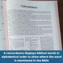 NIV, The Woman's Study Bible, Leathersoft, Blue, Full-Color, Red Letter
