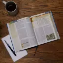 NIV Chronological Study Bible, Blue, Hardback, Comfort Print, Illustrations, Articles, Daily Life Notes, Time Panels, Charts