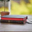 KJV Holy Bible: Large Print Thinline, Black Genuine Leather, Red Letter, Comfort Print: King James Version