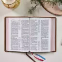NKJV, Reference Bible, Classic Verse-by-Verse, Center-Column, Premium Goatskin Leather, Brown, Premier Collection, Red Letter, Comfort Print