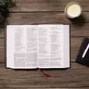 NKJV, Foundation Study Bible, Large Print, Hardcover, Red Letter, Comfort Print