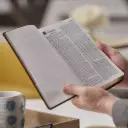 NKJV, The Everyday Bible, Hardcover, Red Letter, Comfort Print