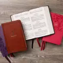 KJV Holy Bible: Large Print Single-Column with 43,000 End-of-Verse Cross References, Brown Leathersoft, Personal Size, Red Letter, Comfort Print: King James Version