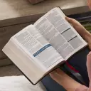 NKJV, Word Study Reference Bible, Bonded Leather, Black, Red Letter, Comfort Print