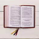 KJV Holy Bible: Large Print Single-Column with 43,000 End-of-Verse Cross References, Red Goatskin Leather, Premier Collection, Personal Size, Red Letter: King James Version
