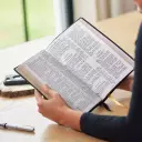 KJV Holy Bible: Large Print with 53,000 Center-Column Cross References, Brown Bonded Leather, Red Letter, Comfort Print: King James Version