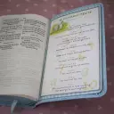 International Children's Bible (ICB) Really Woolly Bible: Pink, Leathersoft