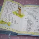 International Children's Bible (ICB) Really Woolly Bible: Pink, Leathersoft