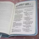 International Children's Bible (ICB) Really Woolly Bible: Blue, Leathersoft