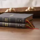 KJV Holy Bible: Super Giant Print with 43,000 Cross References, Brown Bonded Leather, Red Letter, Comfort Print (Thumb Indexed): King James Version