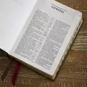 NKJV, Compact Center-Column Reference Bible, Gray Leathersoft, Red Letter, Comfort Print (Thumb Indexed)