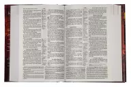 KJV Study Bible, Red, Hardback, Large Print, Charts, Maps, Concordance, Red Letter, Footnotes, Book Introductions, Index, Translation Notes