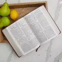 Kjv Study Bible 2nd Ed Lthlk Maroon