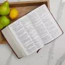 Kjv Study Bible 2nd Ed Lthlk Maroon