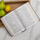 Kjv Study Bible 2nd Ed Lthlk Brn